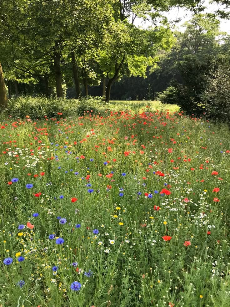 Afbeelding van WhatsApp op 2025-11-17 om 22.07.46_6e62b871